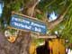 - Evergreen Bungalows Zanzibar - 